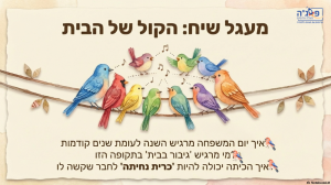 כרית